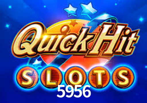 Interface Premium 5956